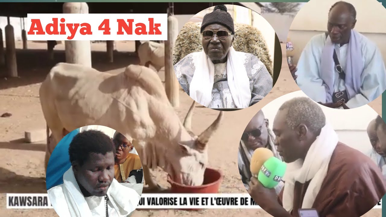Kadduy Serigne Dame Soda Fall ci Jébalé Adiya Général Omar Seck ci Khalif Général de Baye fall