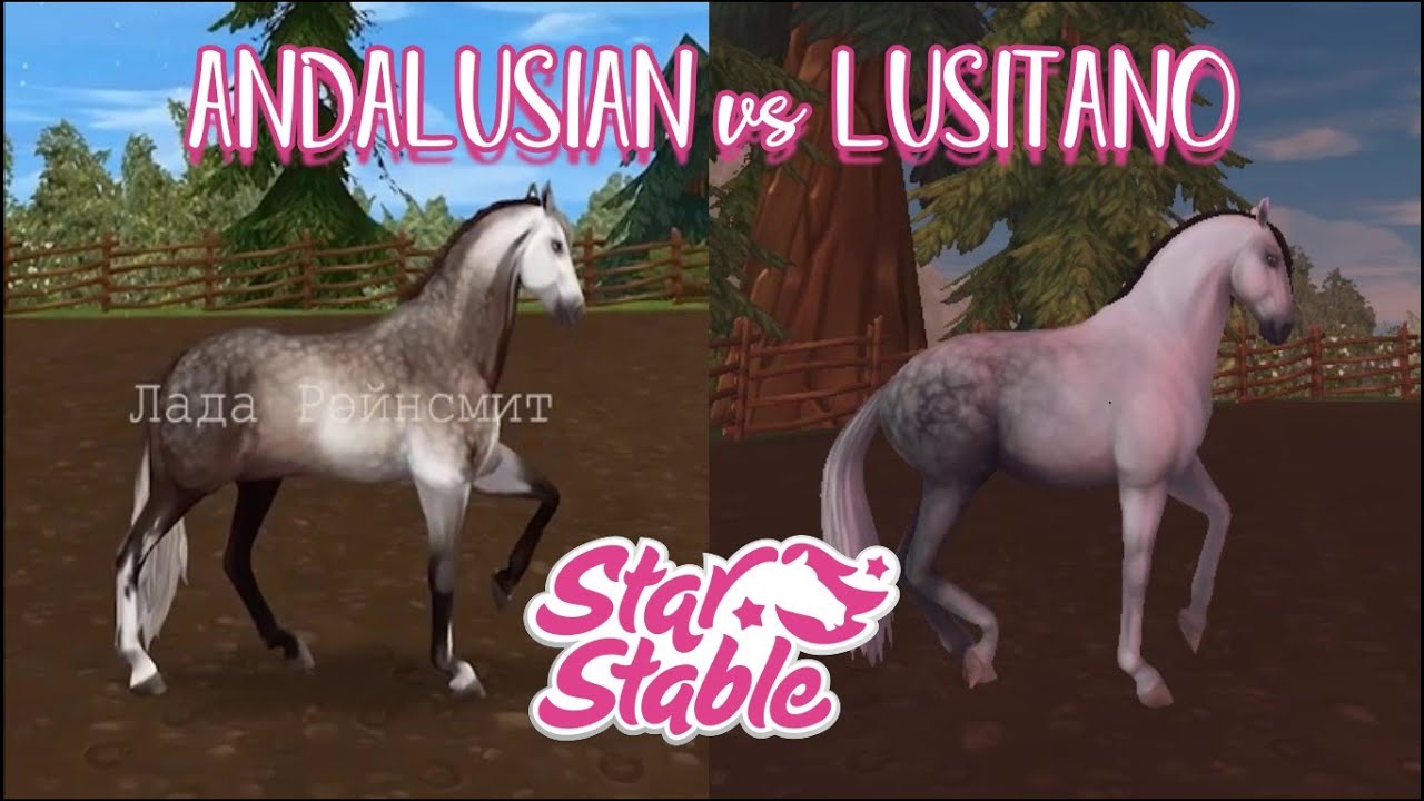 New Andalusian vs Lusitano // Star Stable Online