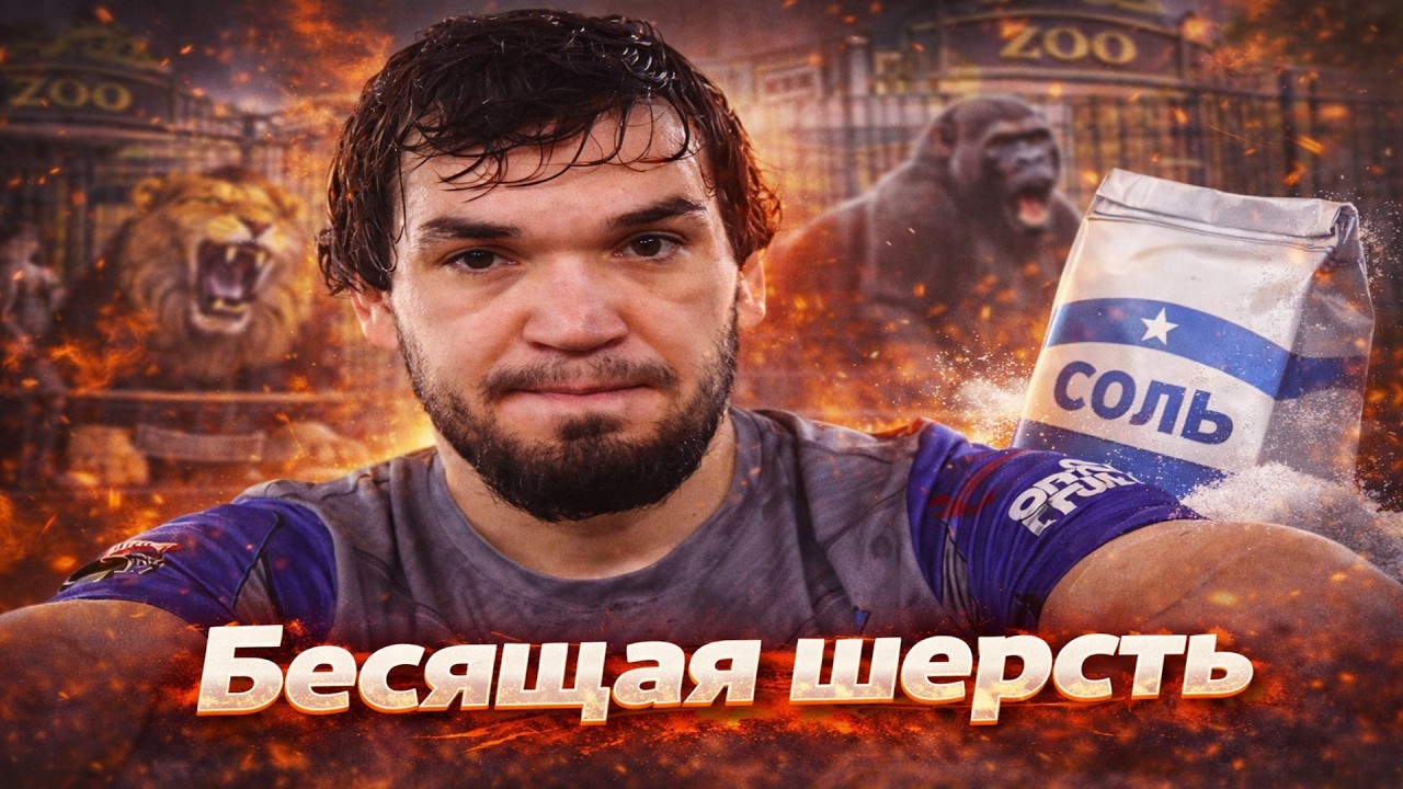 ЗАЛИК ЮСУПОВ САМЫЙ БЕСЯЩИЙ БОЕЦ
