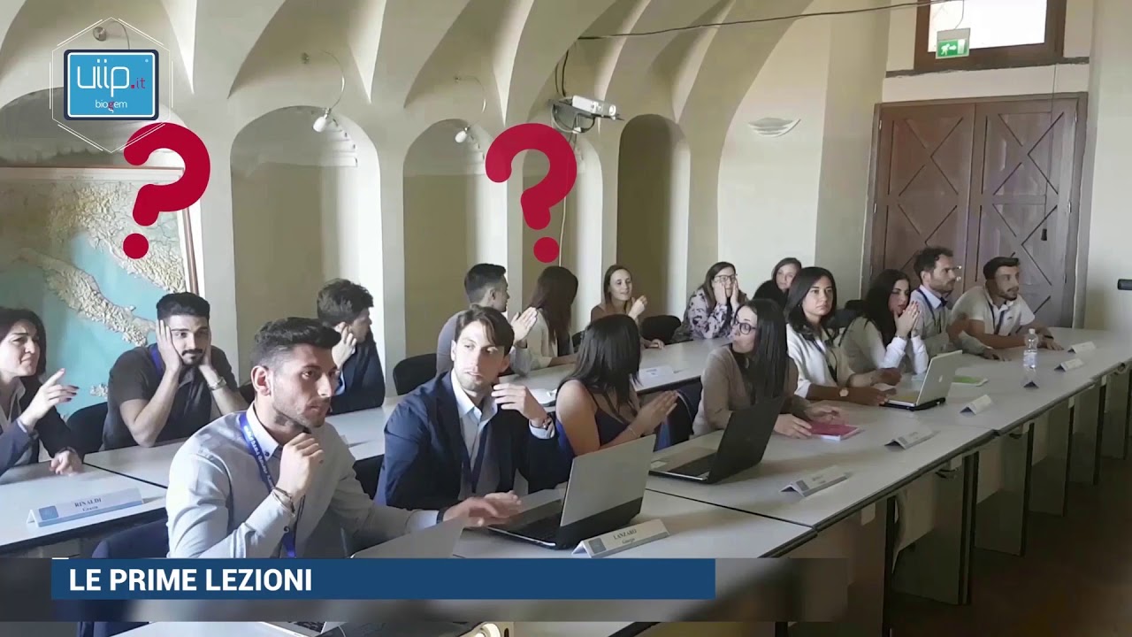 Programma UIIP 35 - Digital Developer - Official Video