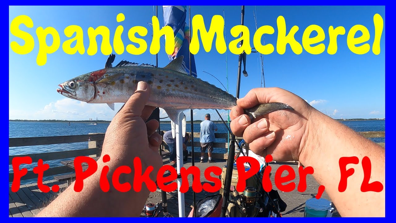 Fishing For Spanish Mackerel Using A Bubble Rig & Casting Spoon