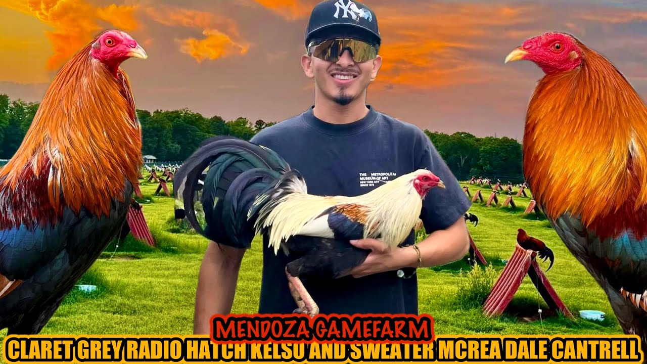 Claret Grey Radio Hatch Kelso And Sweater Mcrea Dale Cantrell ~ MENDOZA GAMEFARM