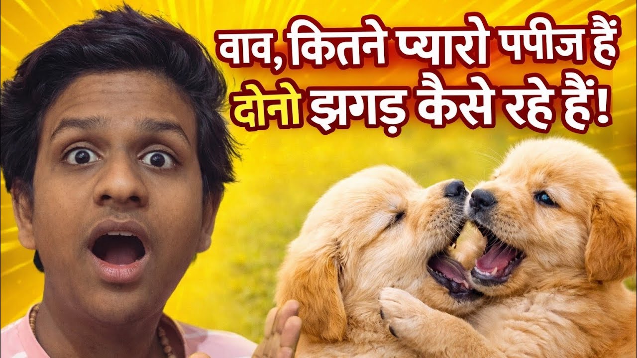 वाव! कितने प्यारे पपीज हैं 😍 दोनों झगड़ कैसे रहे हैं? 🐶😂