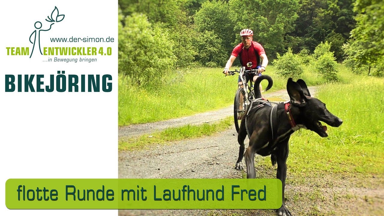 Bikejoering Bikejöring canicross mit Laufhund Fred Training Husky Wilson hat frei