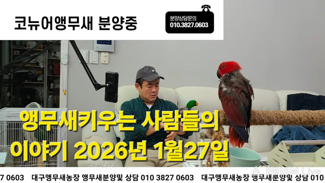대구앵무새농장 [ Birdlake ] 앵무새 키우는 사람들의 이야기 20260127