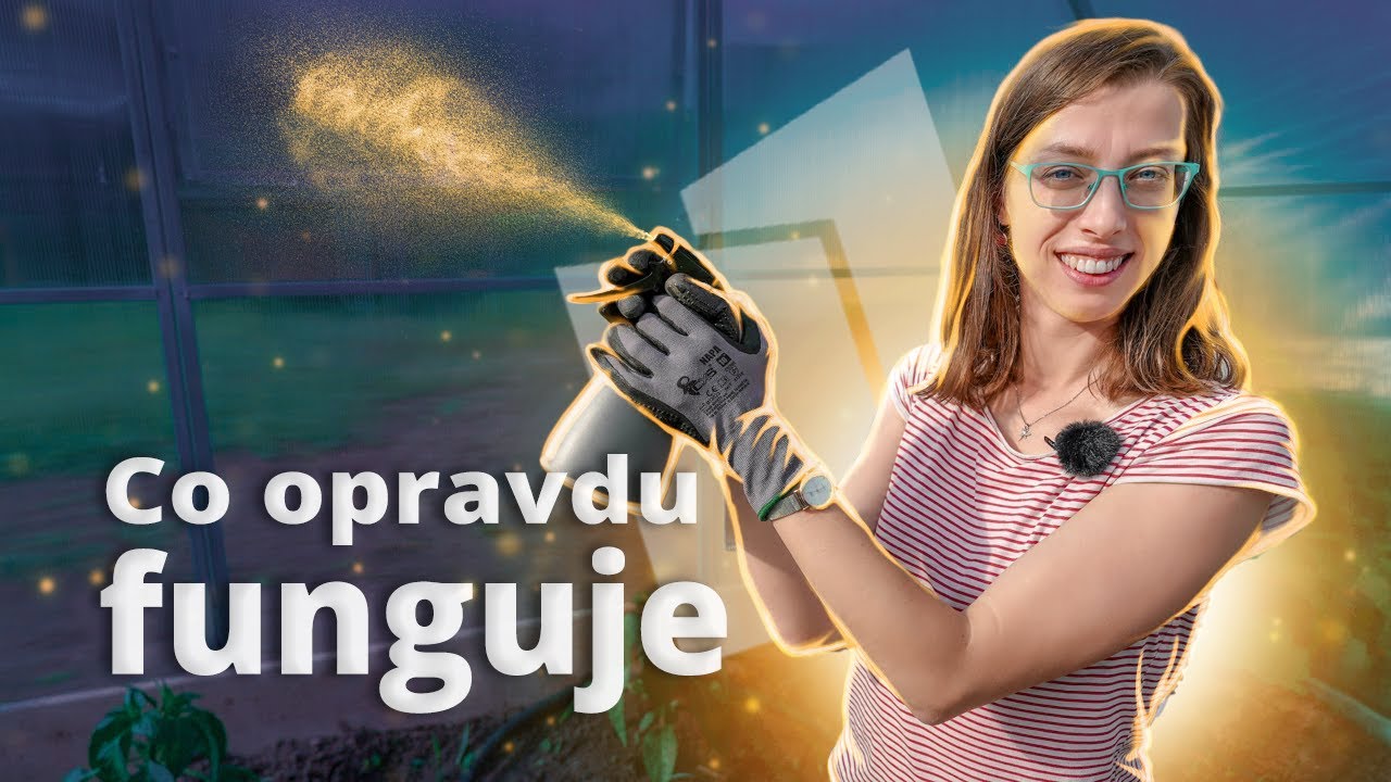 MRAVENCI ve skleníku - nejúčinnější ŘEŠENÍ už máte doma aneb jak na ně