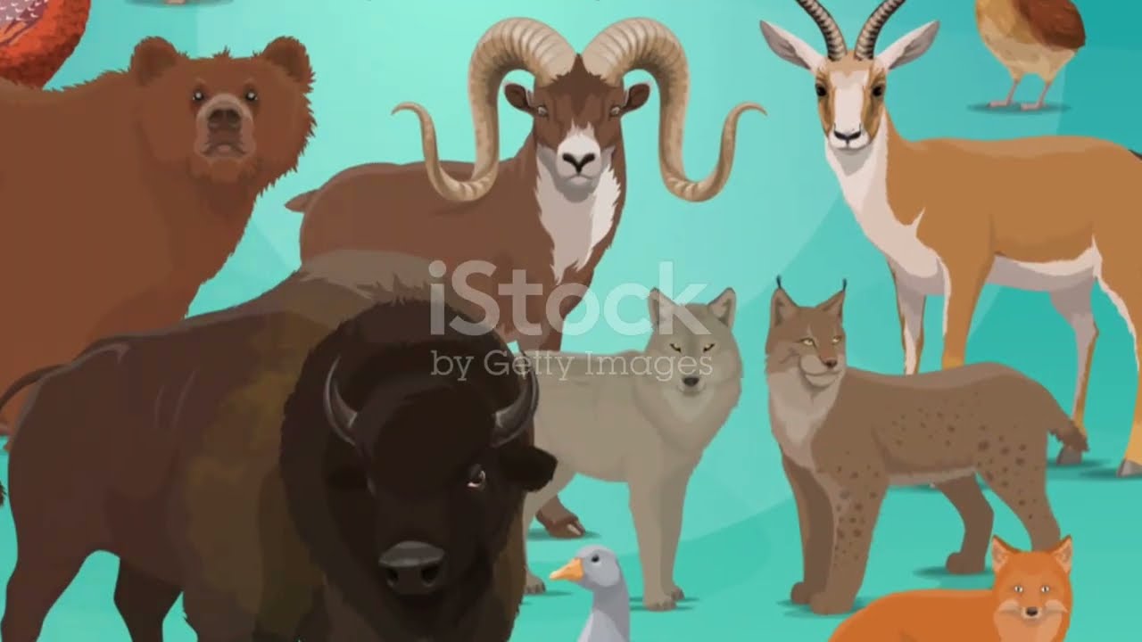 The Endangered European Red Deer: A Tale of