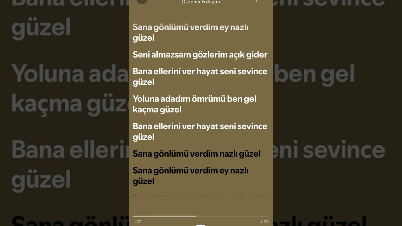 &Ouml;zdemir Erdoğan bana ellerini ver