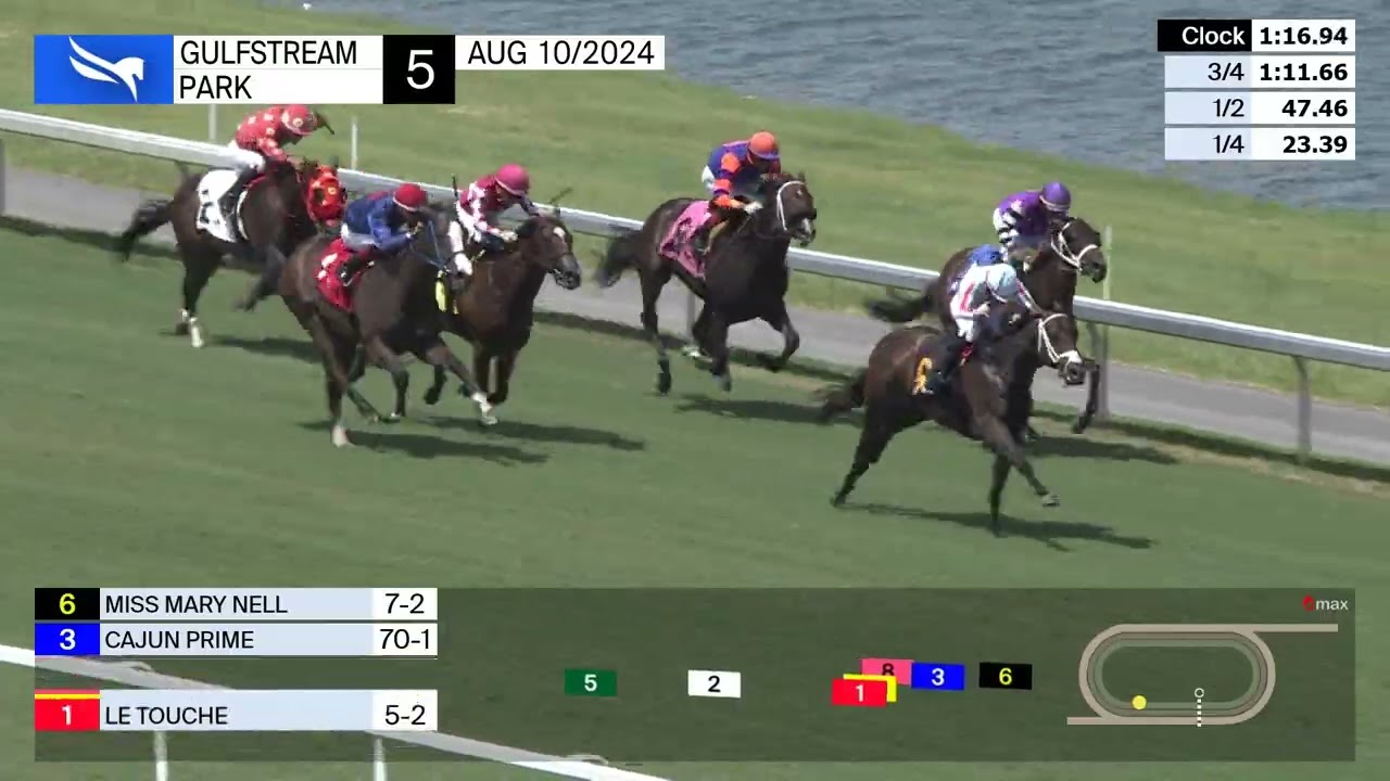 Gulfstream Park Replay Show | August 10, 2024