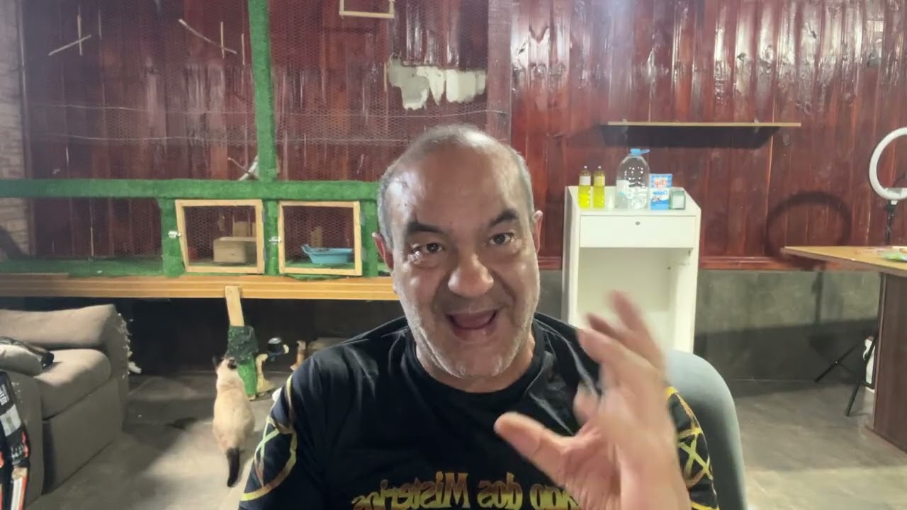 EXU O MOVMENTO EXU O CAMINHO O MENSAGEIROS A LIGAÇOES ENTRE DOIS MUNDOS 51981262208