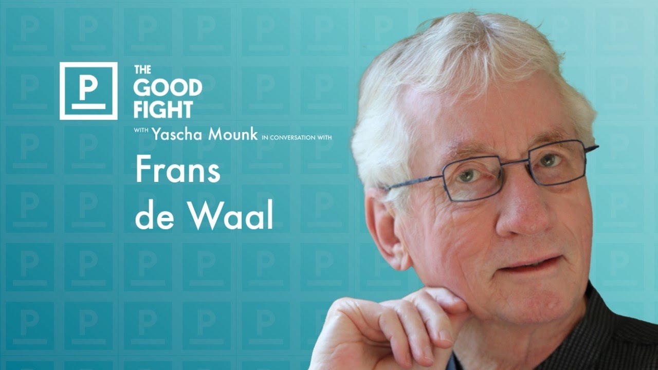 Frans de Waal on Chimpanzee—and Human—Politics