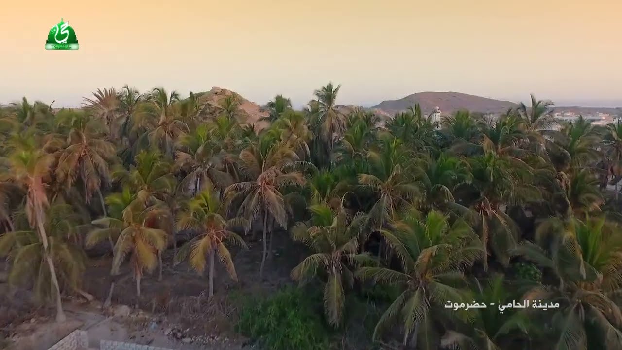 جمال ساحر ولقطات احترافية لمدينة الحامي - حضرموت | سيذهلك جمالها