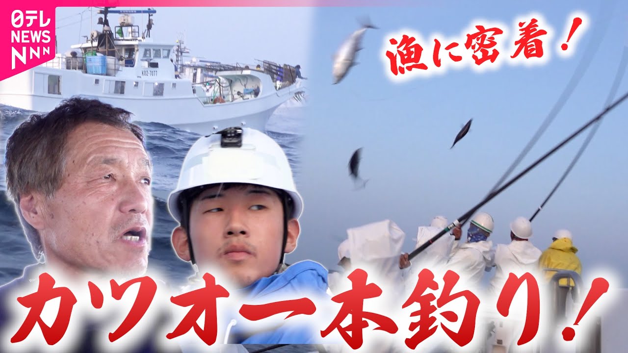 【密着】うまいカツオが次々と！