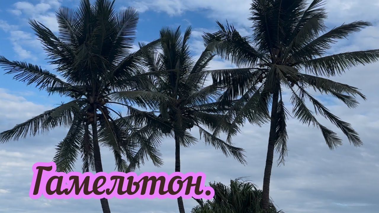 Остров Гамильтон. #путешествия ль