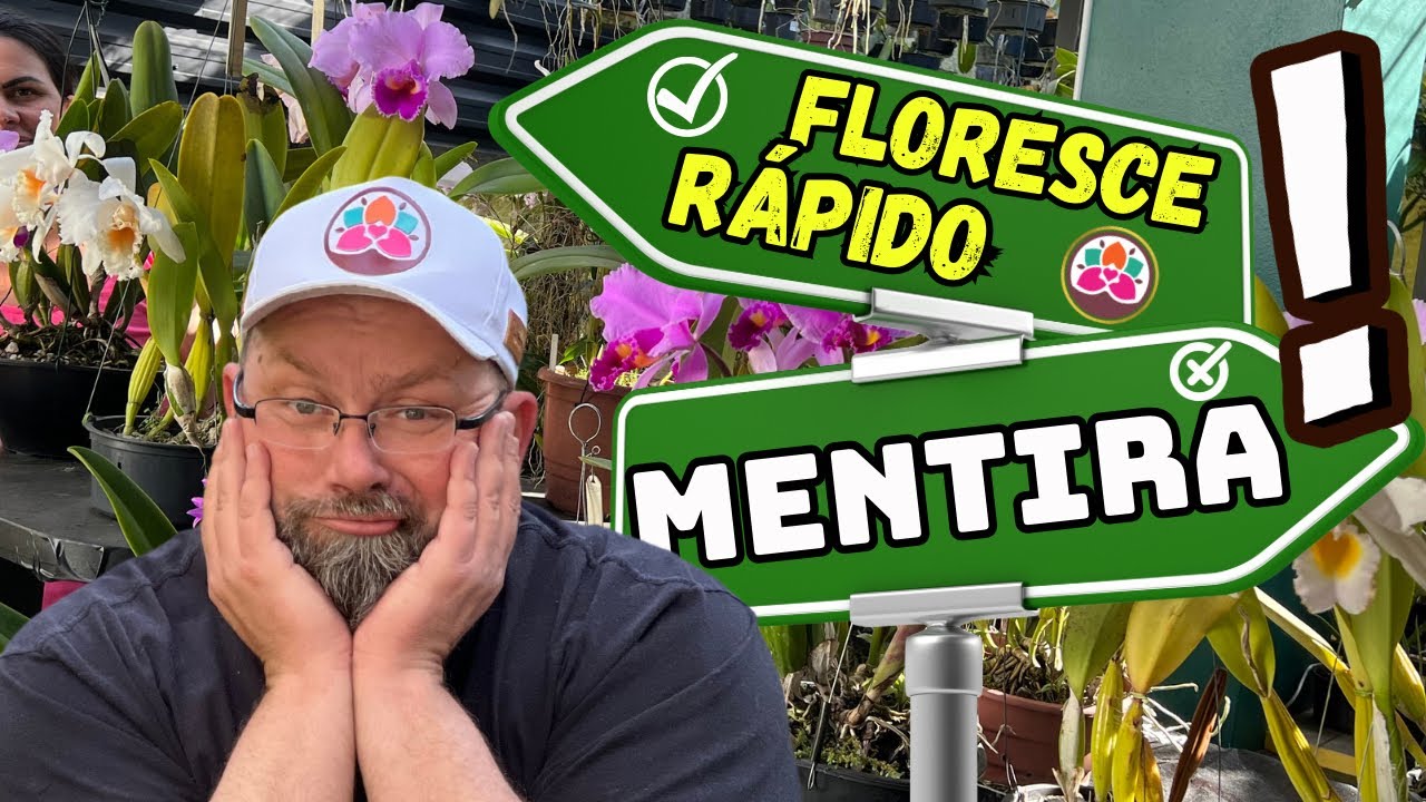 DESISTA!! NÃO TEM COMO FAZER ORQUÍDEA FLORESCER RÁPIDO