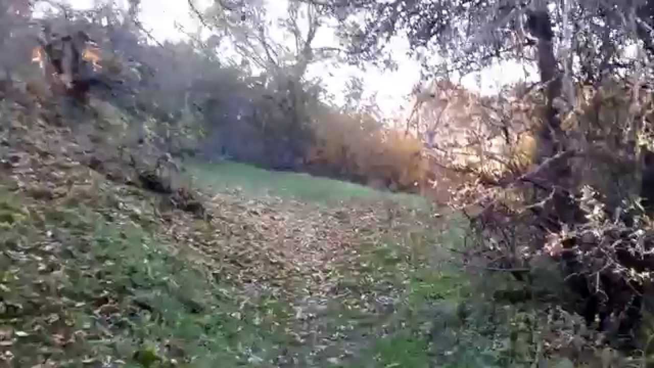 Hiking in 