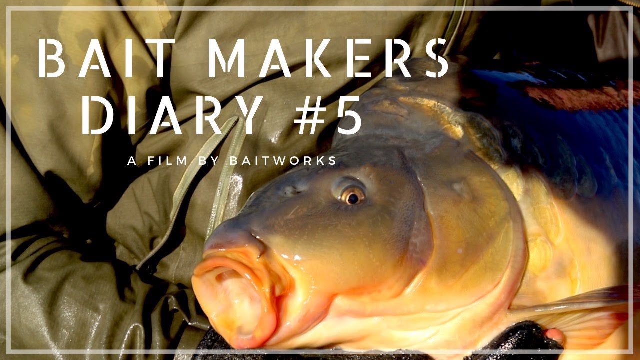 Carp Fishing - Diary of a Bait Maker #5 - Winter
