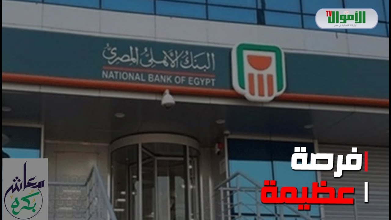 بحد أدنى 500 جنيه.. 10 معلومات عن 