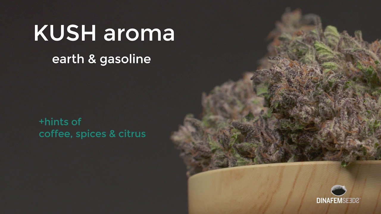 Bubba Kush Buds