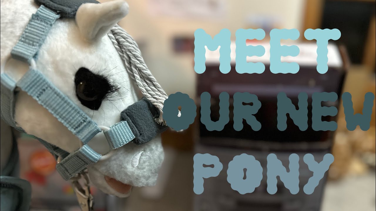 MEET OUR NEW PONY! * we got two?! Showing pony?!* #lemieuxtoypony #lemieux #equestrian #toypony