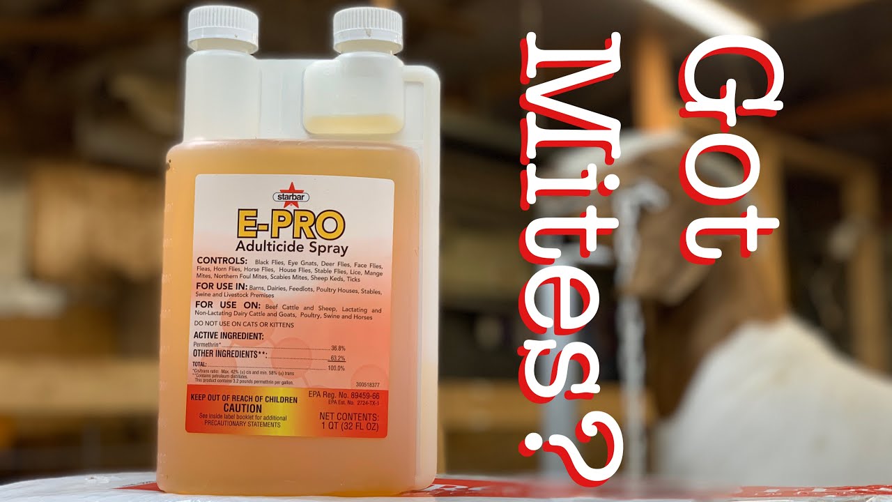 E-Pro Mite Control Does It Work??