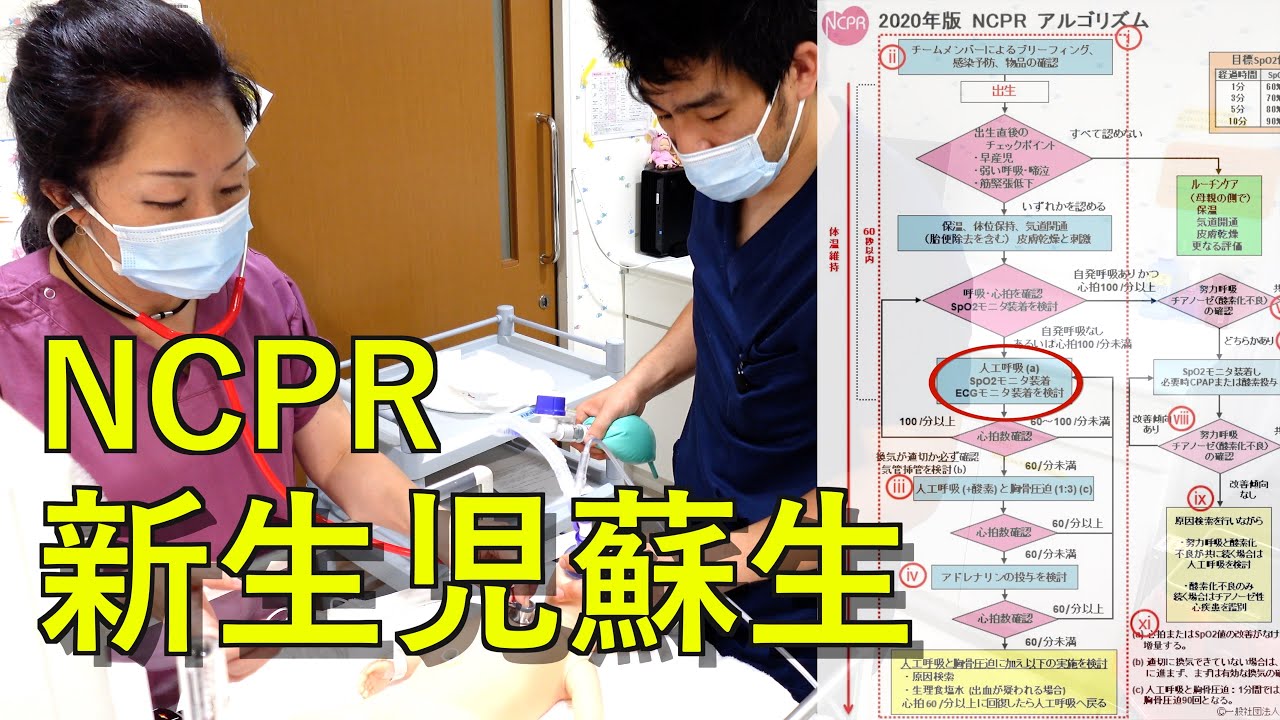 【NCPR】新生児蘇生シミュレーション　2024/3公開