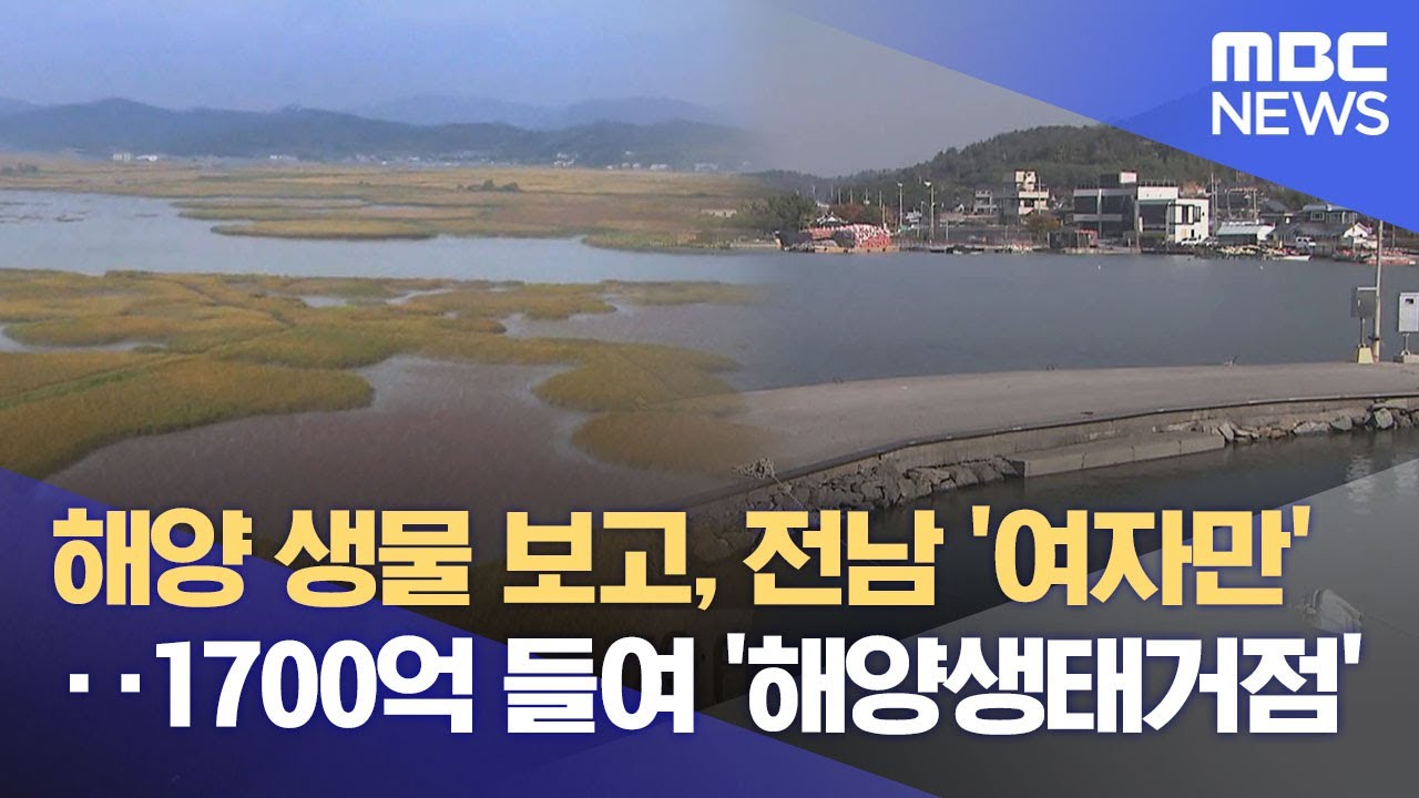 여자만 '국가 해양생태공원' 조성 탄력 (2025.11.16/뉴스데스크/여수MBC)