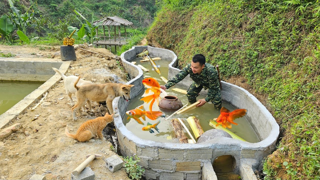 Use waterproof cement for ornamental fish ponds, build fish ponds with concrete bricks, build farms