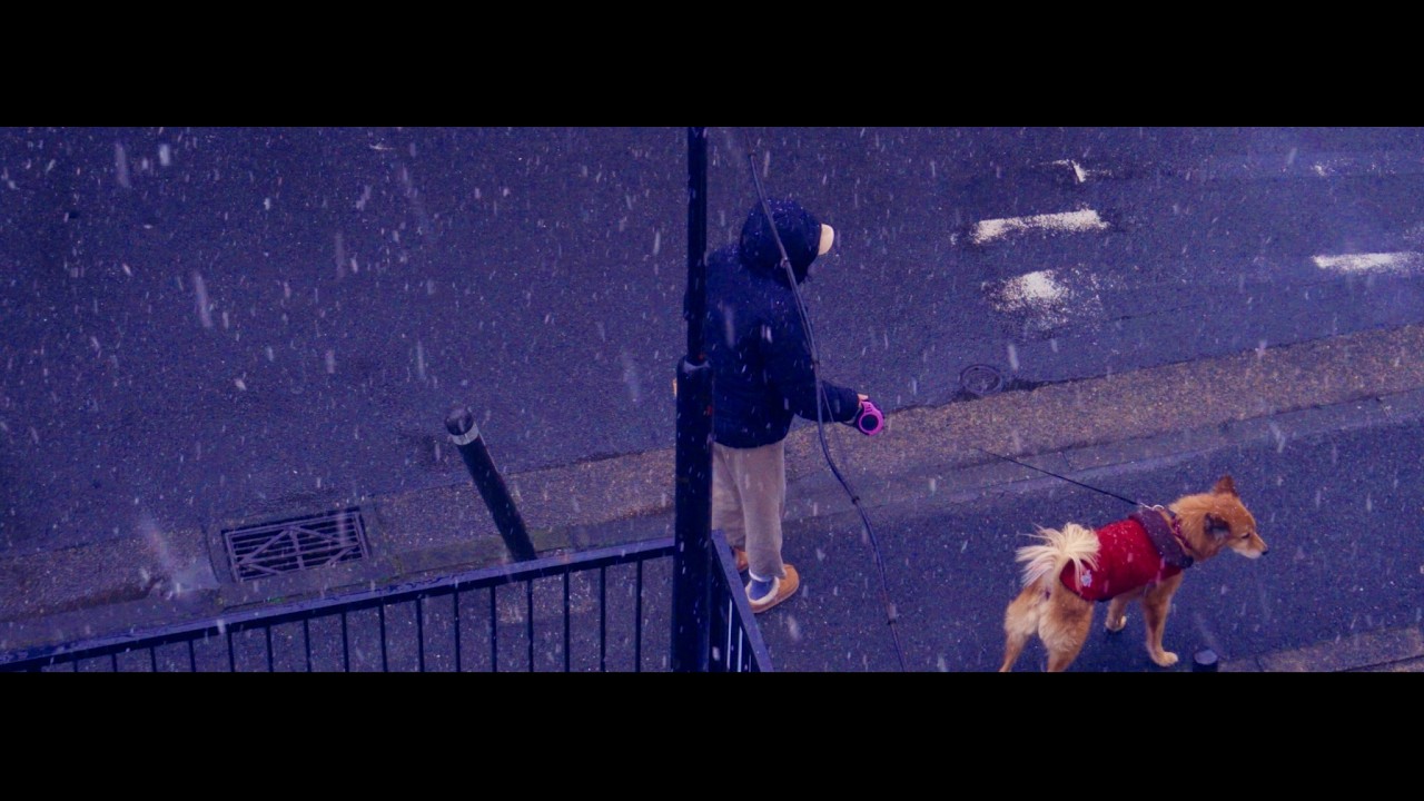 今日は雪