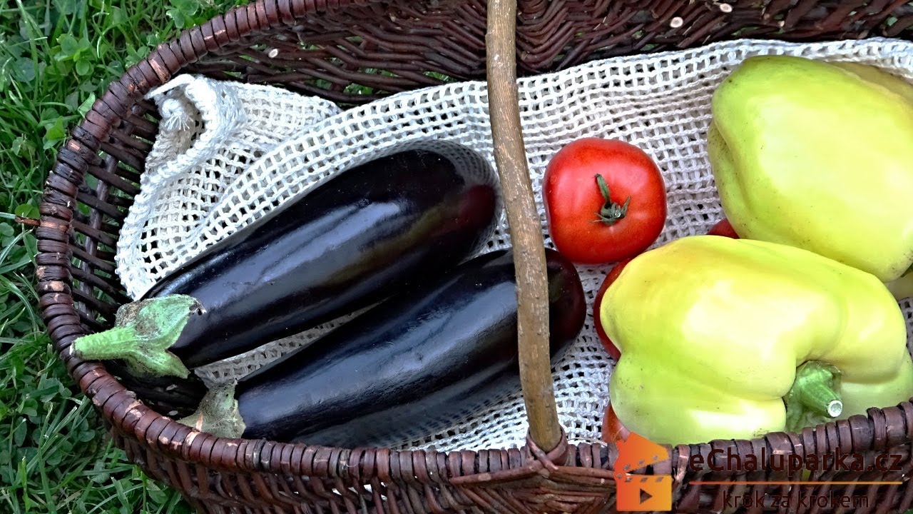 Jak pěstovat lilek neboli baklažán ze semen. Solanum melongena