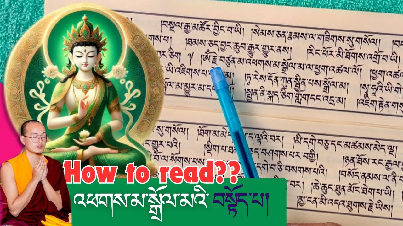 སྒྲོལ་མའི་བསྟོད་པ། 👈🏼 how to read? | for beginners @SHEJA