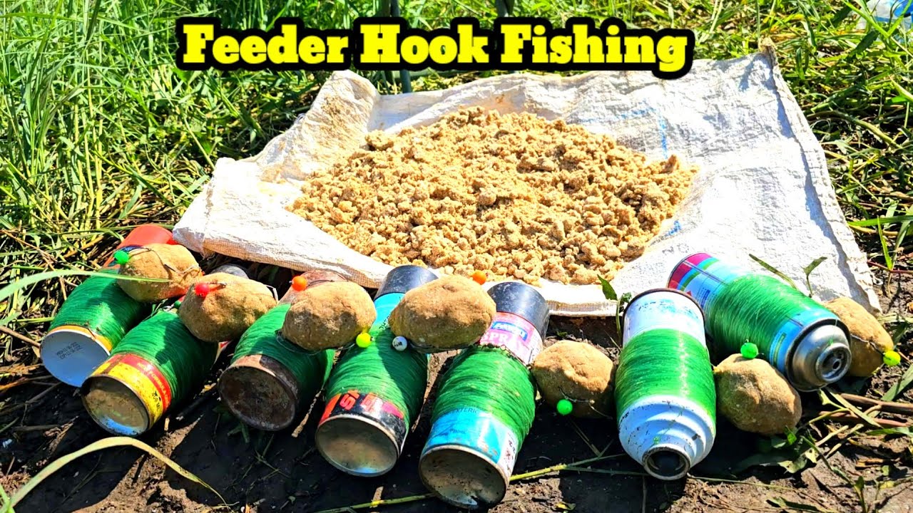 Big Fish Catching Video || Feeder Hook Fishing || Big Rohu Mergal Fish Catching
