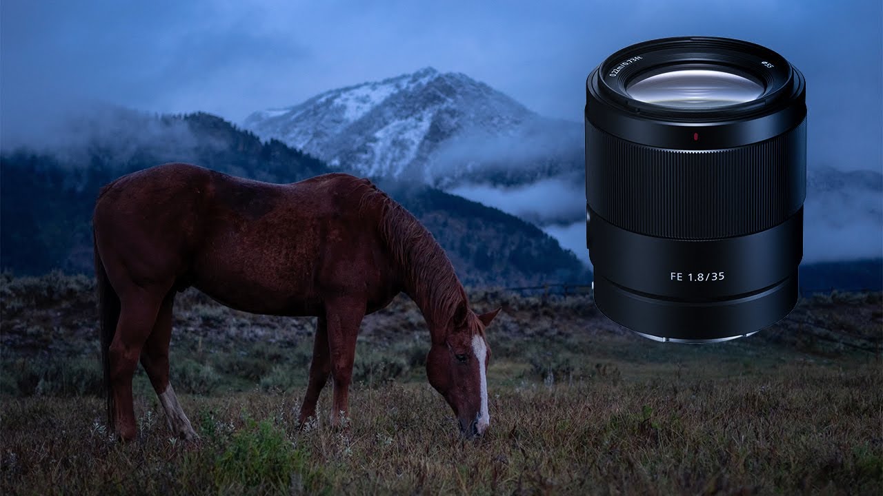 Долгосрочный обзор объектива Sony FE 35mm f/1.8