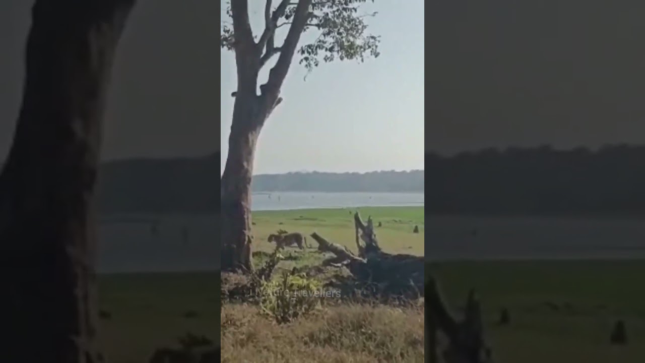 Jan 2023 sightings from Kabini, for our vehicle 