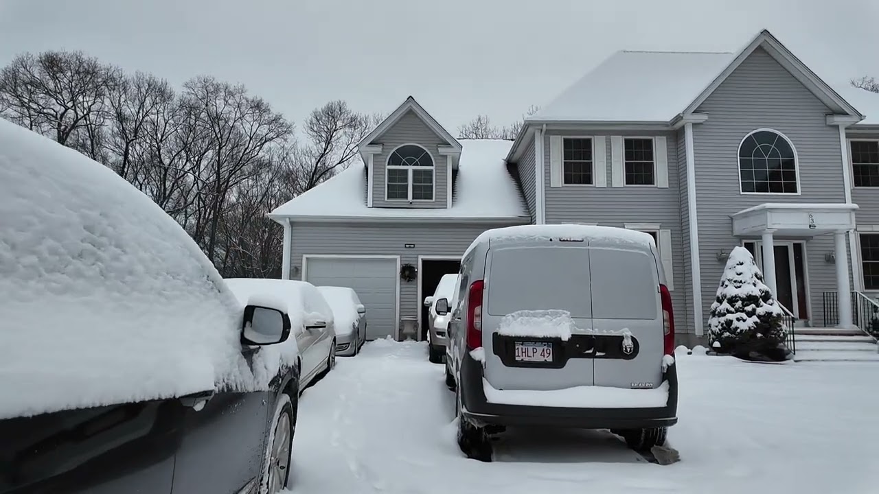 Snow day!