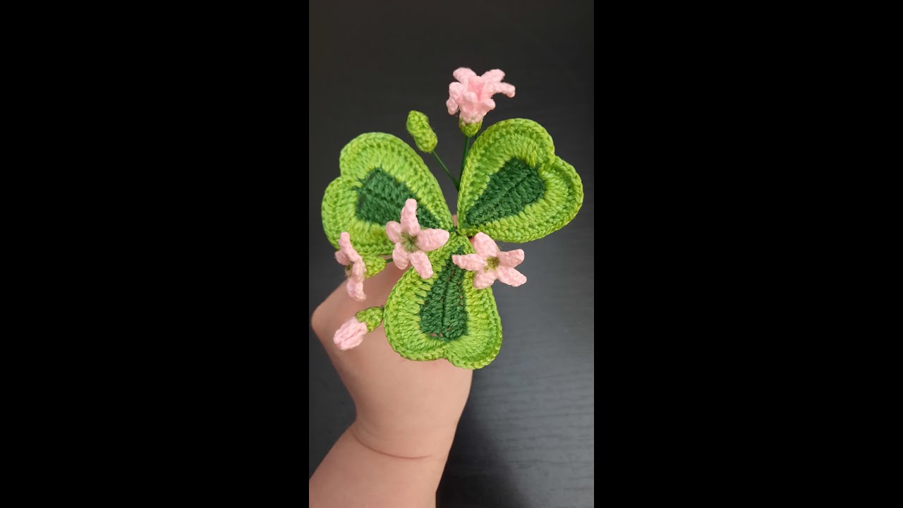 1.Trifoi/Oxalis crosetat pas cu pas -Part I
