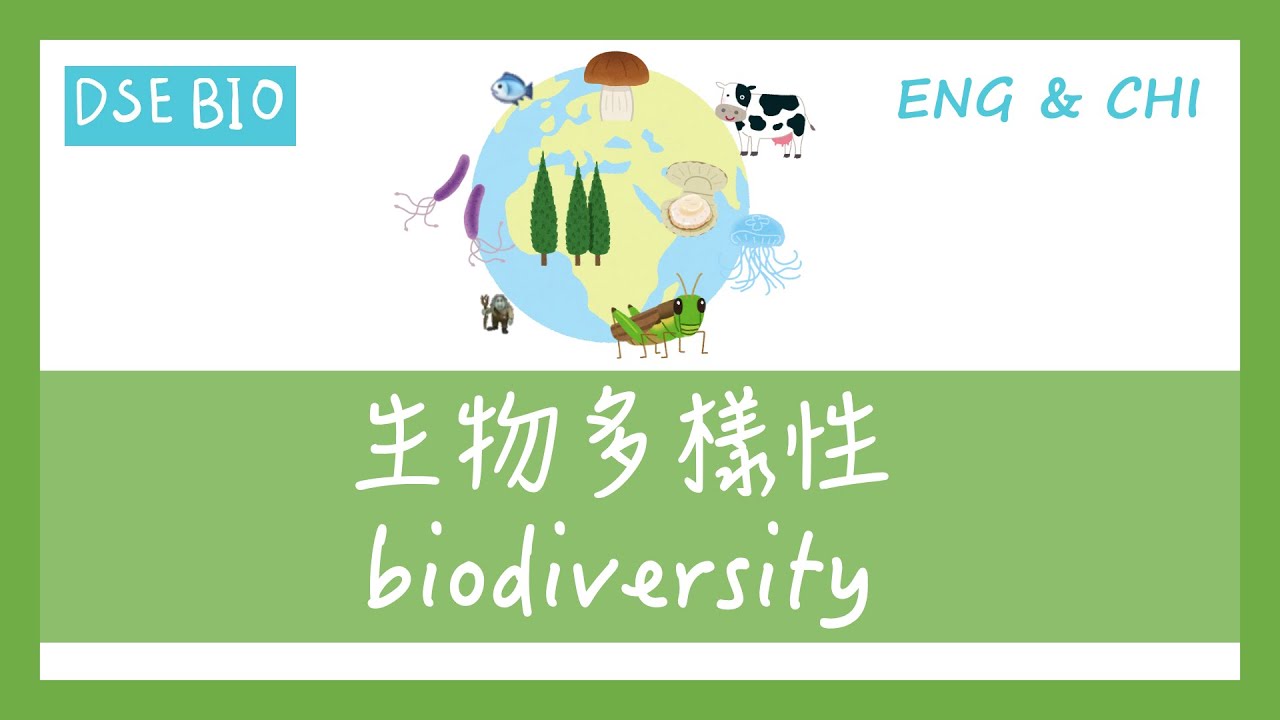 [DSE BIO - 課文重點] 18分鐘講完【生物多樣性 biodiversity】！