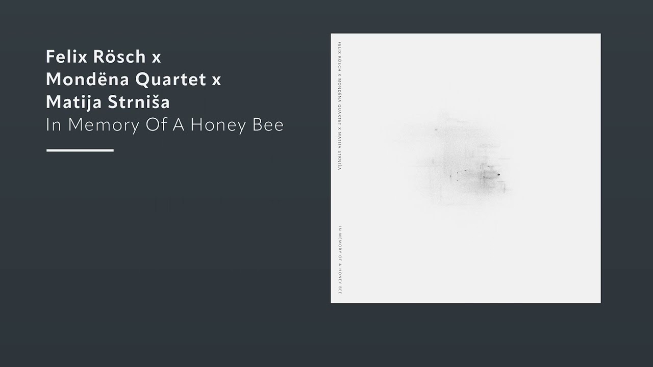 Felix R&ouml;sch &mdash; In Memory Of A Honey Bee (Official Audio)
