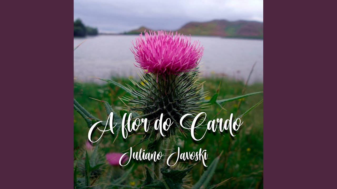 A Flor do Cardo