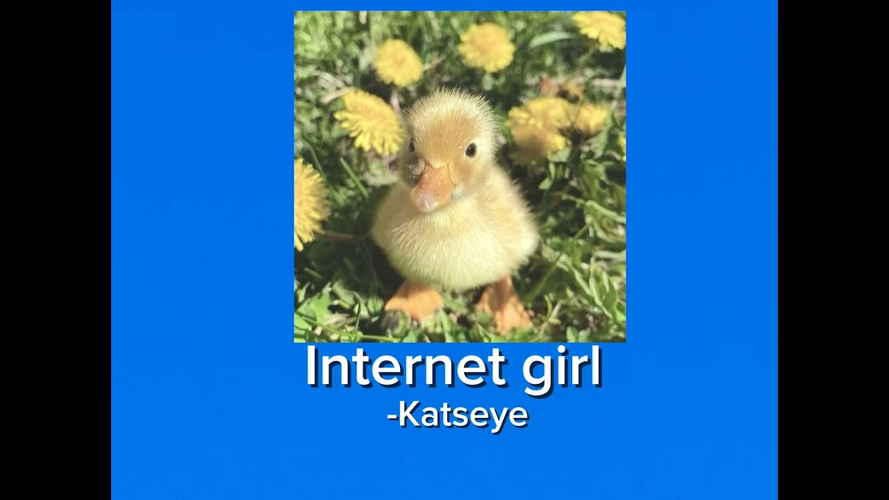 Internet girl -katseye 