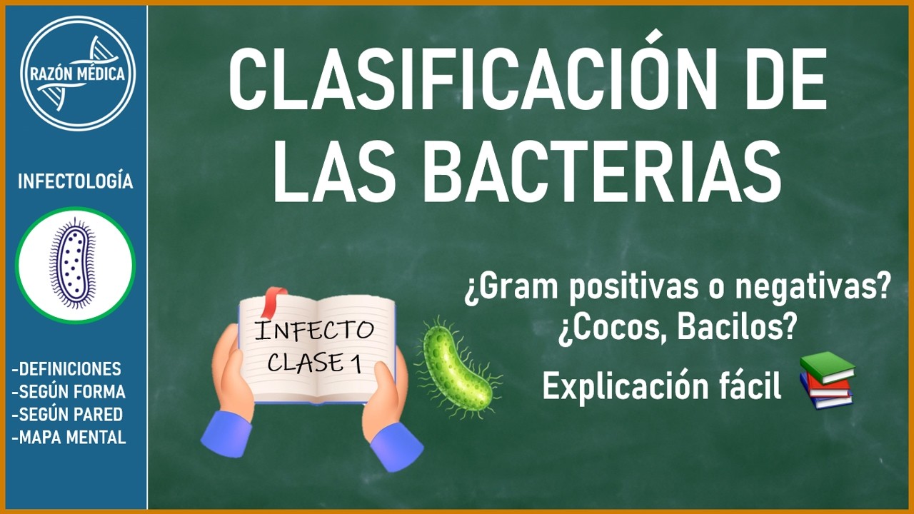 Clasificación de las BACTERIAS 🦠 - Explicado fácil