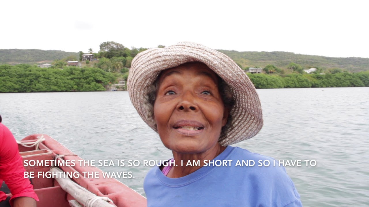 Saint Lucia Seamoss Documentary