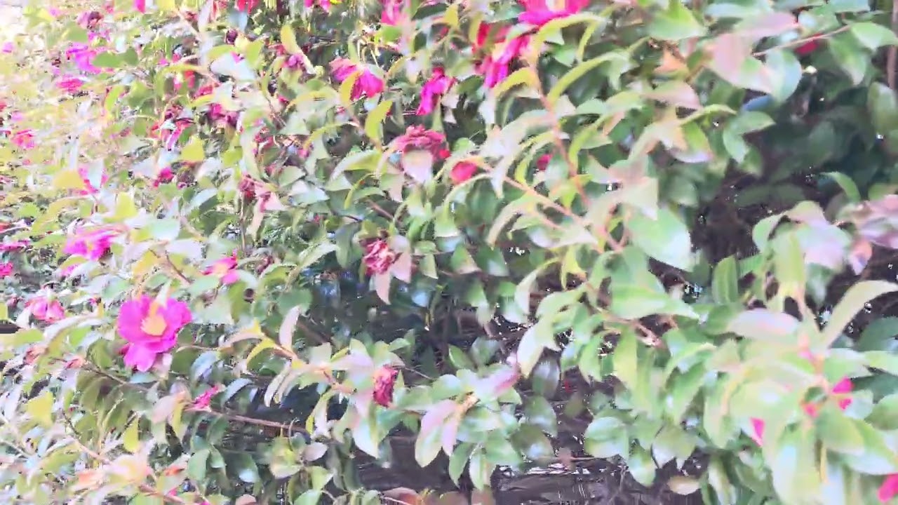 #오늘의 지혜  “지금 이 순간을 소중히 여기는 사람이 결국 가장 먼 곳까지 간다.”