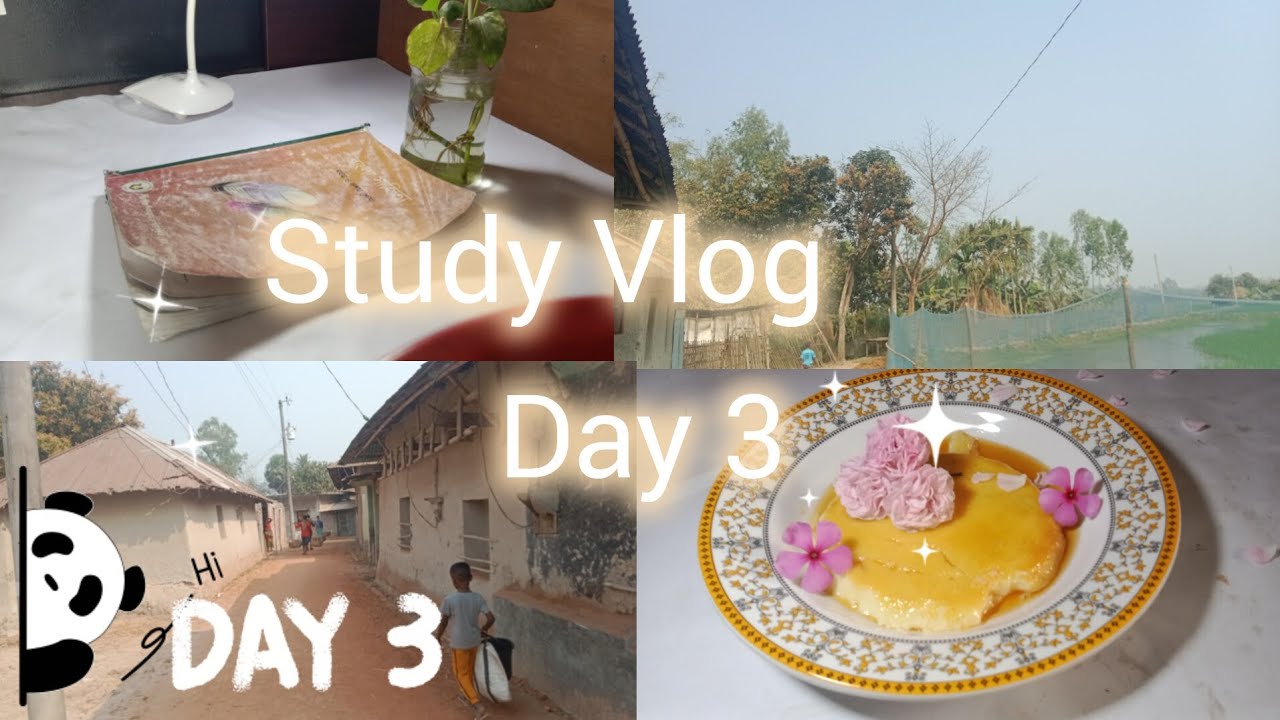 Study vlog  day 3📚📸✅  #minivlog 💥  #vairalvideo ✨✨#studywithmesscaspirants 
