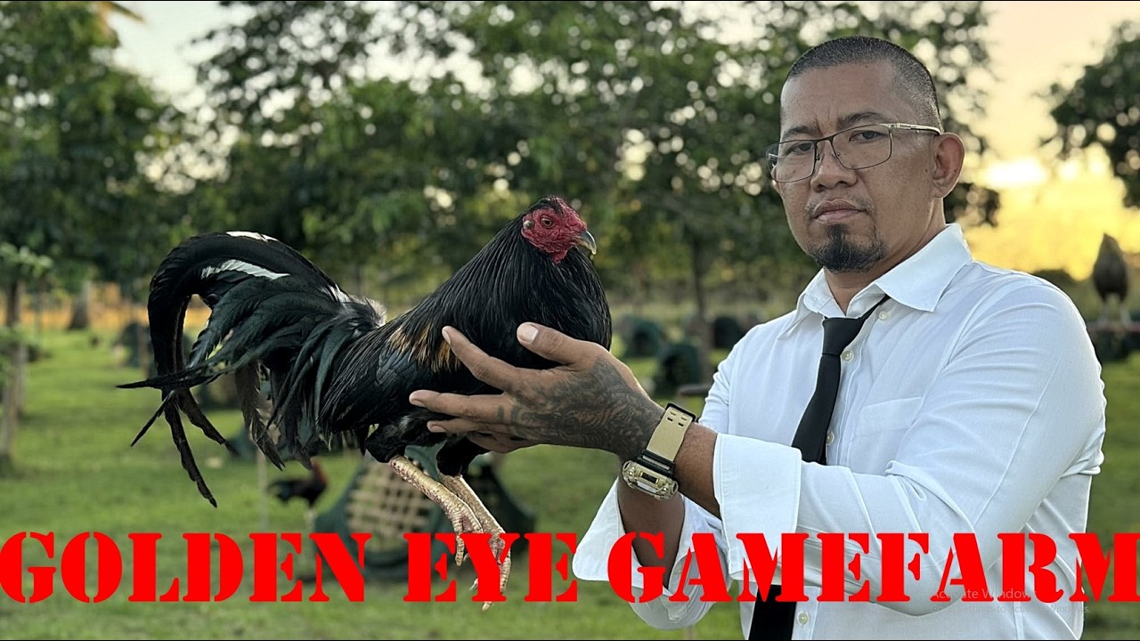 Давайте посетим ферму Golden Eye Gamefarm.