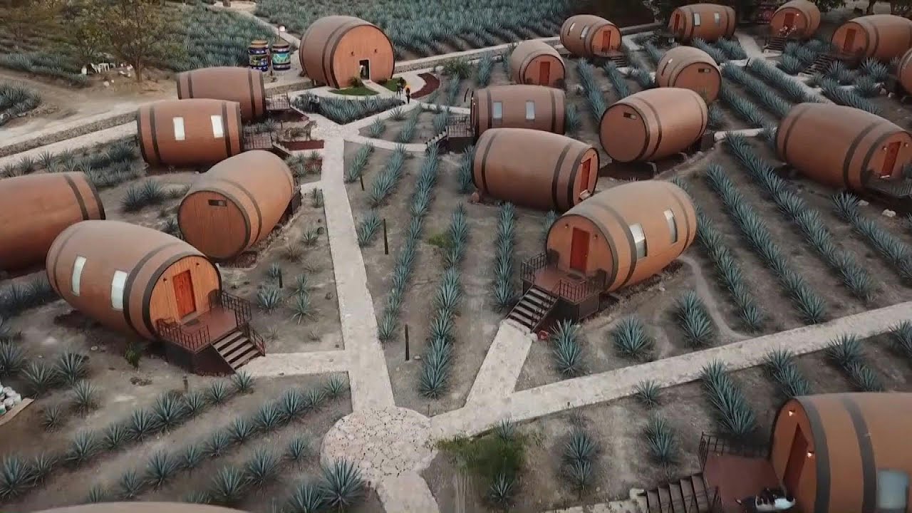 Hotel invita a dormir en barricas de tequila