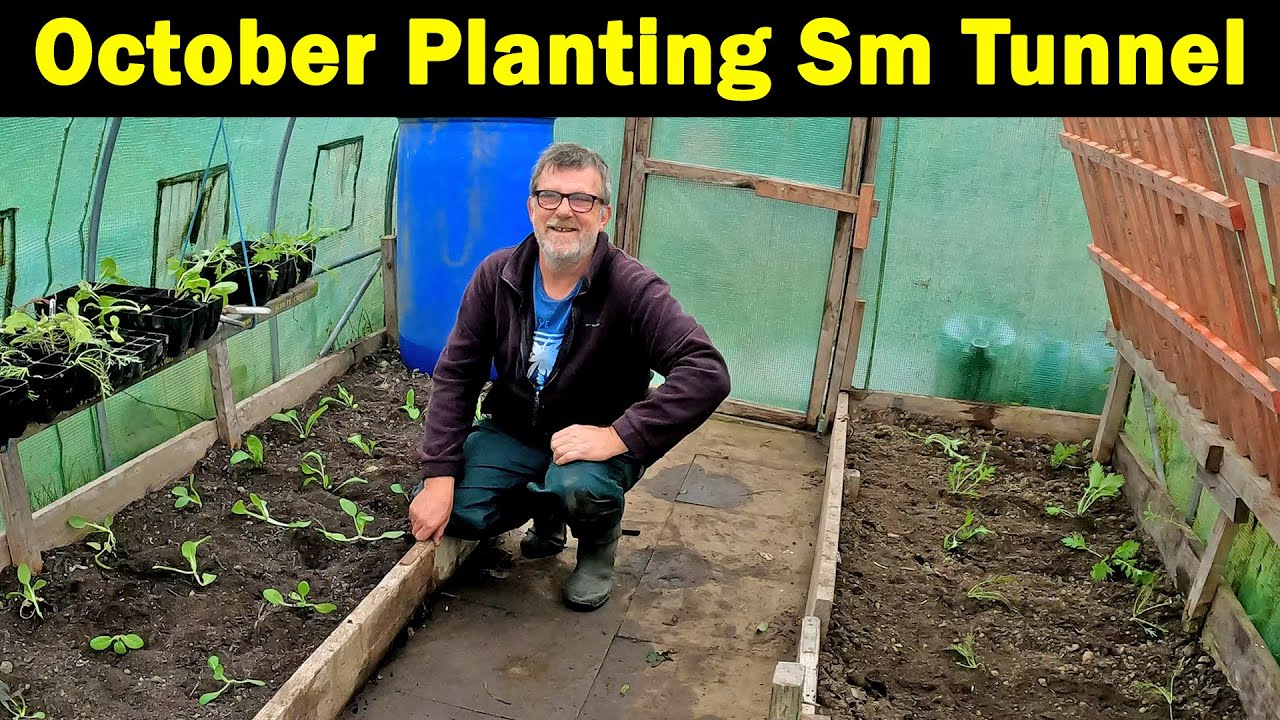 Small Tunnel Planting | October | Autumn planting | Season Extension | Green Side Up