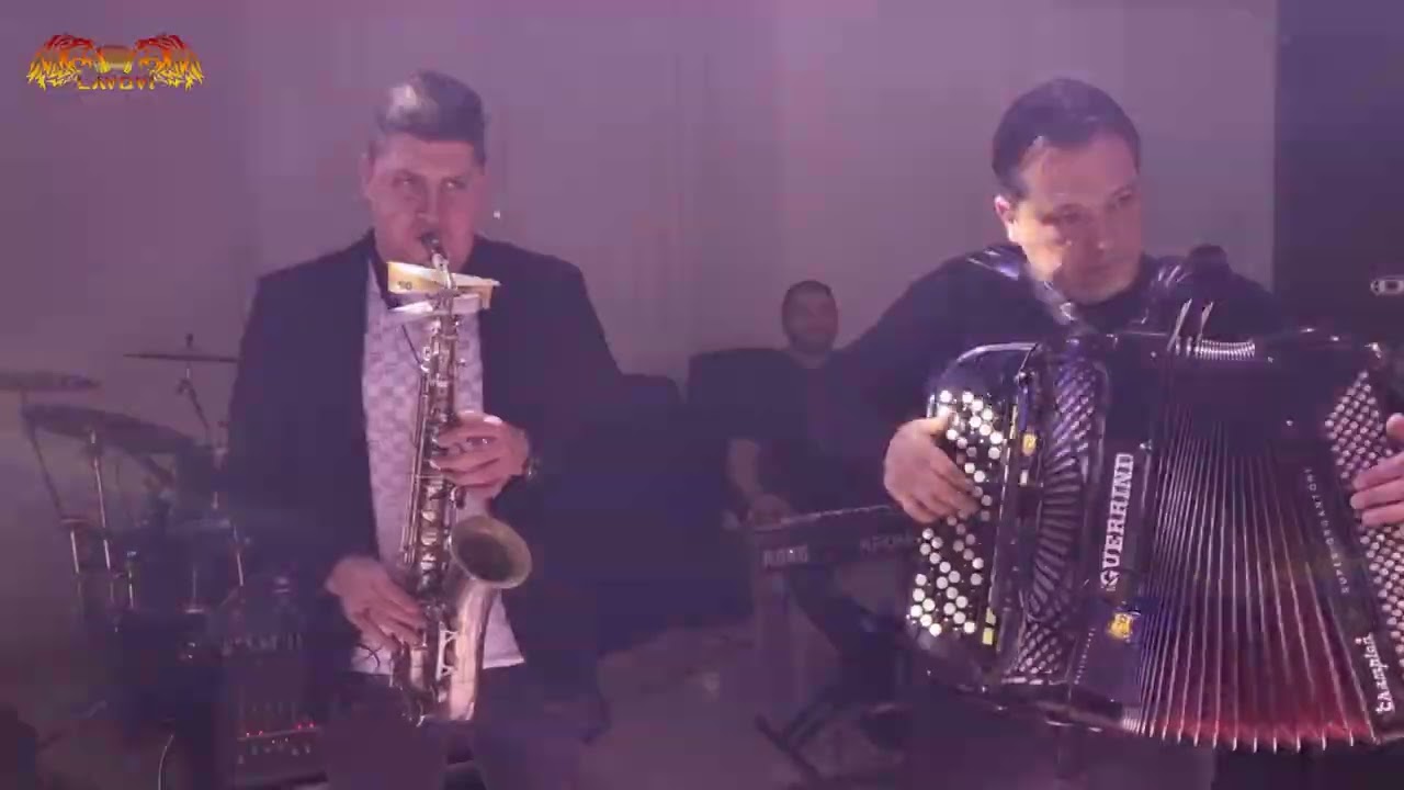 Orkestar Darka Antica LAVOVI & Milan Strasni , od nas za vas🍷🍷🍷