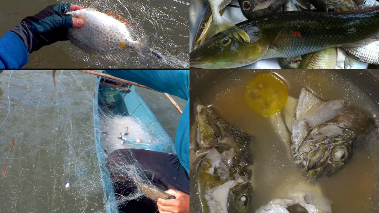 Catching Fish Using Fish Net or Lambat - Part 2 | Net Fishing