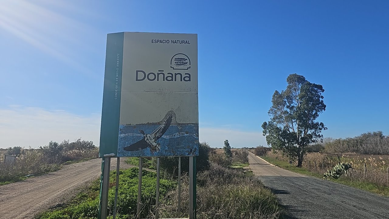 Donana National Park: A Journey Through Andalucia's Diverse Wildlife